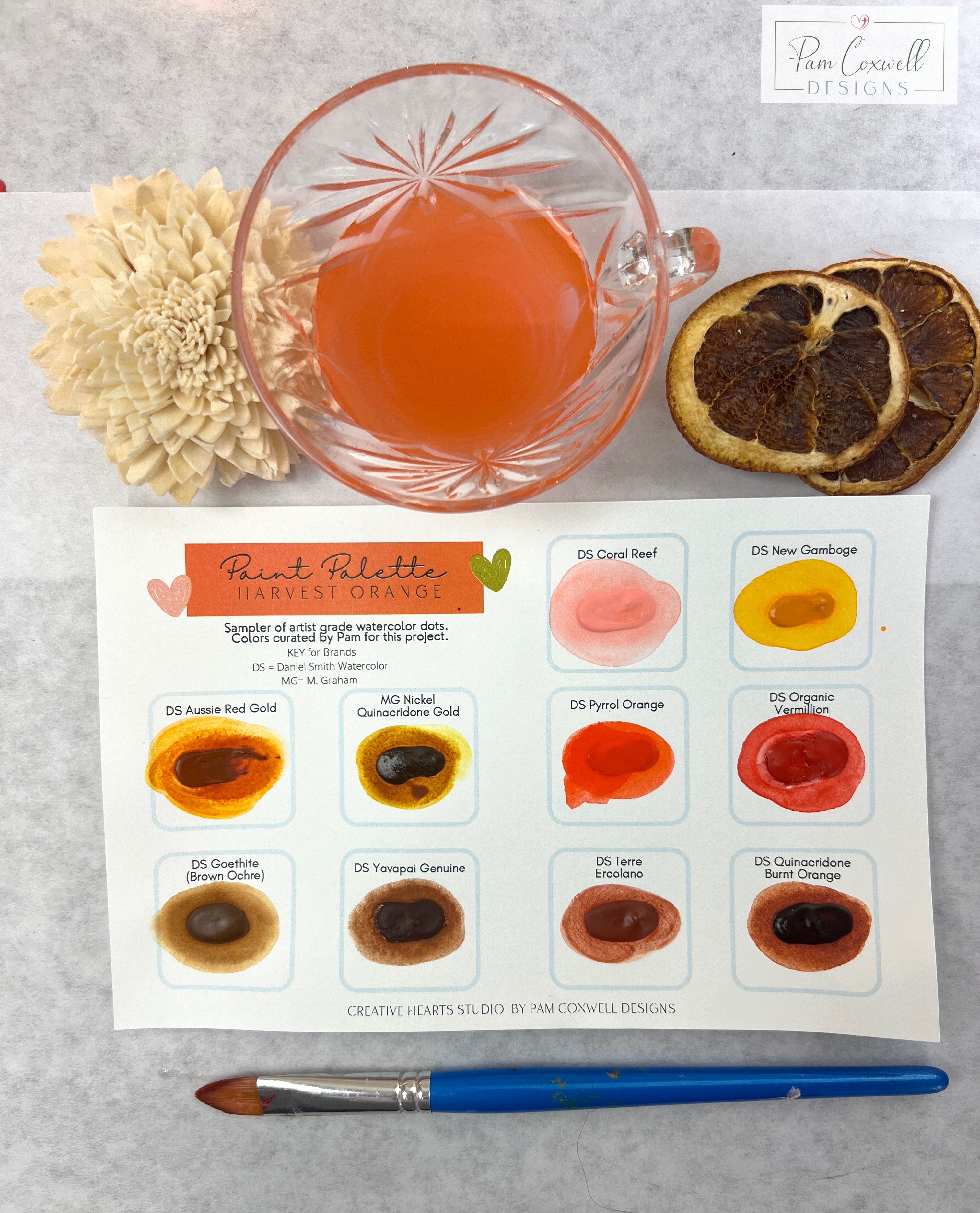 Harvest Orange Watercolor Paint Dot Sampler
