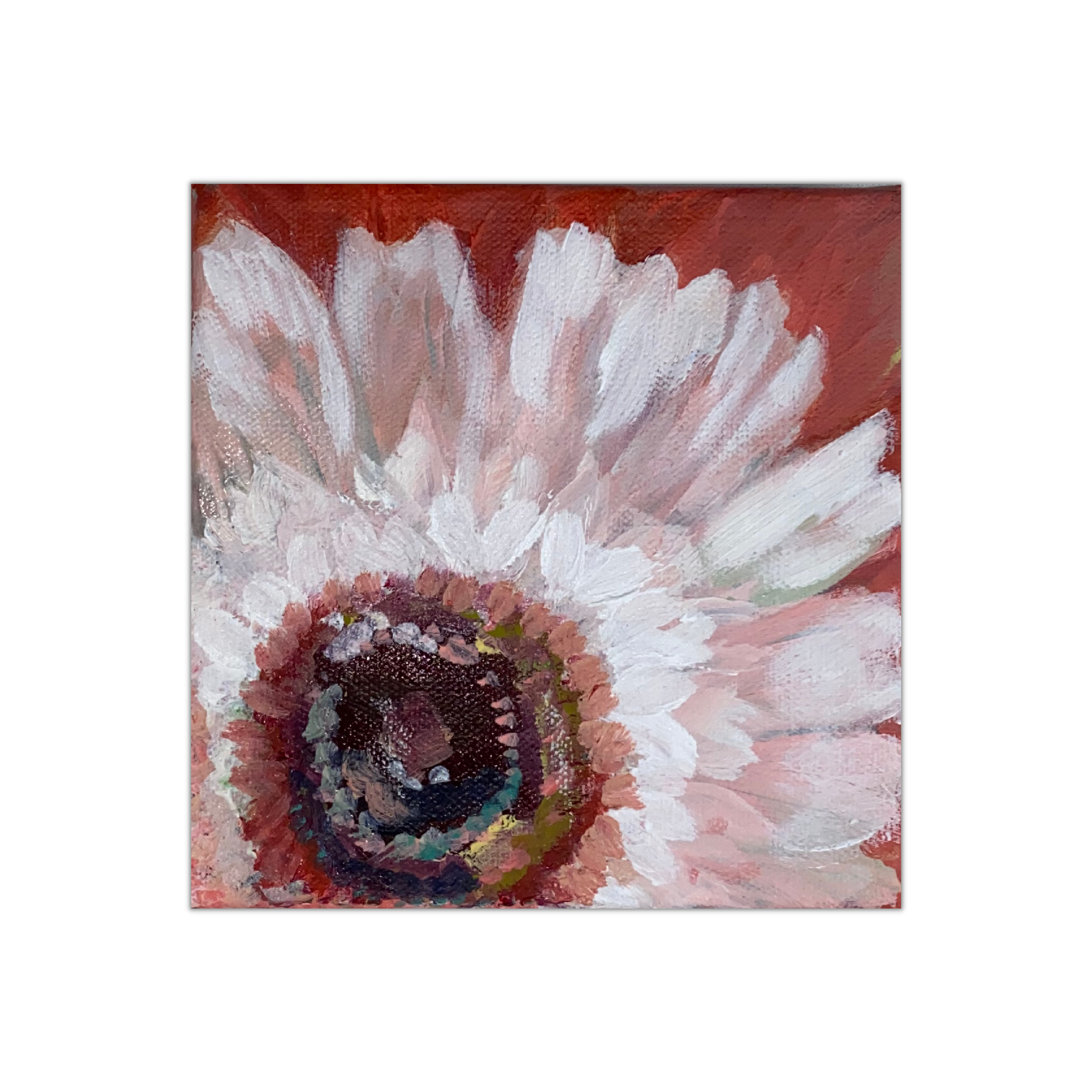 Gerbera Daisies Close-Up - Original Paintings by Pam Coxwell